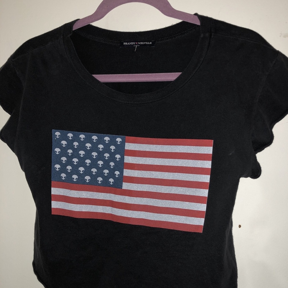 Brandy Melville crop top